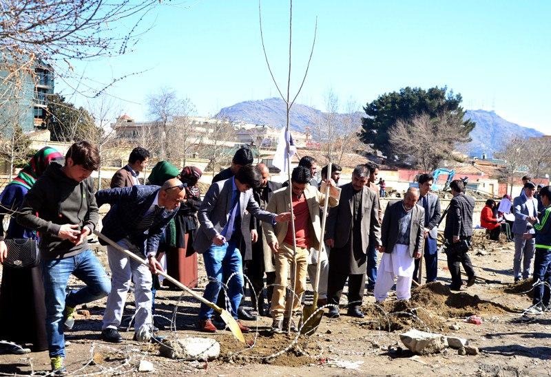 Behmani Seeding Campaign
