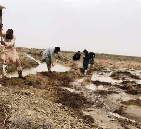 Nimroz flood sweeps away homes, crops