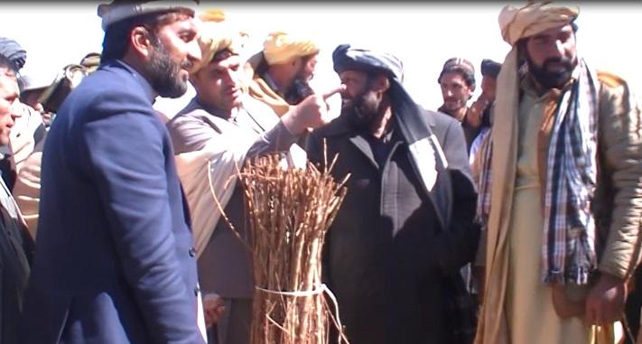 د پکتیکا پر کروندګرو نیالګي وېشل کېږي