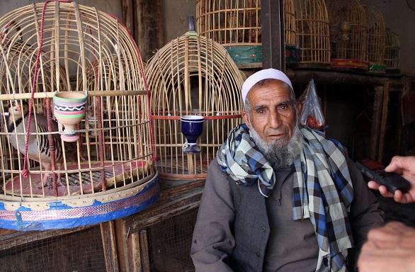 برخی ها بخاطر باور به “کبک” در دفع سحر و جادو، این پرنده را نگهدارى می کنند