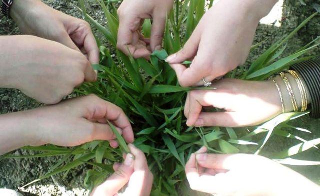 صدها خانوادۀ هراتى در “سیزده بدر” به تفريحگاه ها رفتند