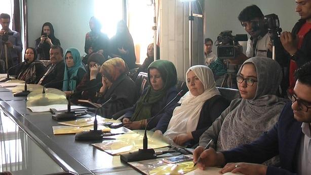 فعالان حقوق زنان از افزایش مشکلات زنان در ولسوالی های هرات نگران هستند