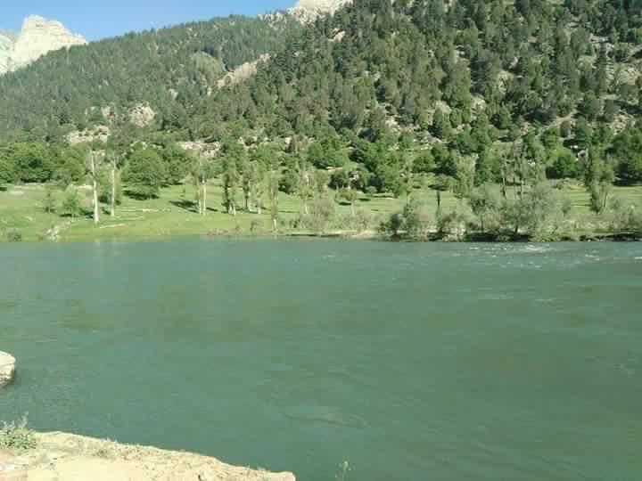 Nuristan police asked to prevent forest cutting