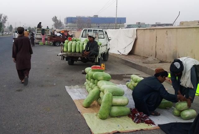 Melon, watermelon yield fall by 50pc in Helmand