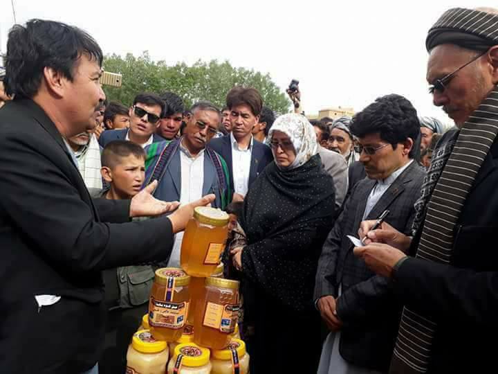 توليد عسل در مناطق مرکزى افزايش يافته است