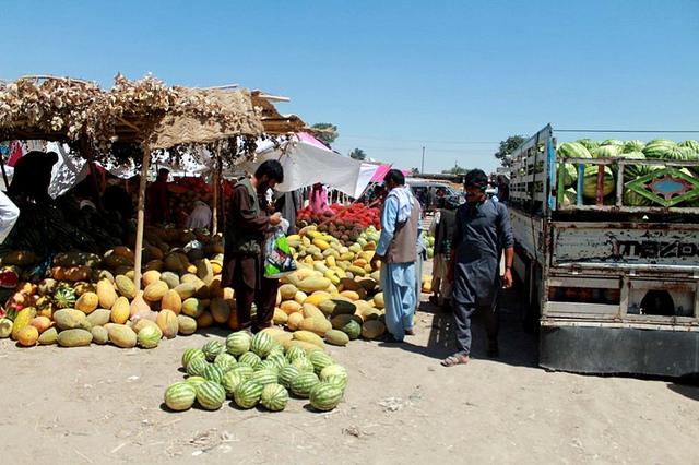 قيمت تربوز و خربوزه در سرپل هشتاد درصد کاهش يافته است