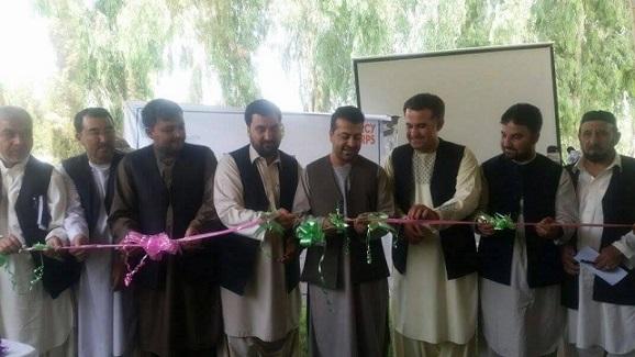 په کندهار کې د پستې ۲۵۰ باغونه او د زعفرانو ۴۰۰ نمایشي قطعې جوړېږي