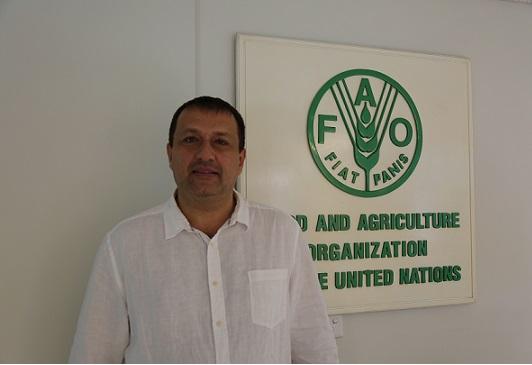 Agriculture safe option to strengthen Afghan economy: FAO