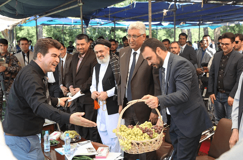 سومين جشنوارۀ انگور در هرات برگزار شد