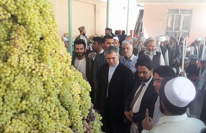 جشنواره انگور در فاریاب برگزار شد