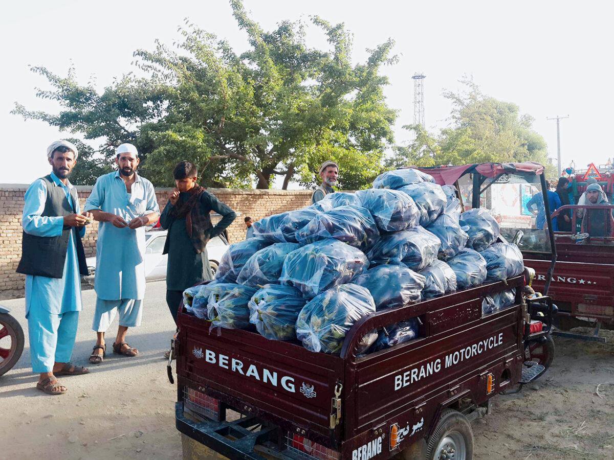 Parwan vegetable growers say bear losses this year