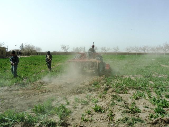 Farmers’ well-being a must to end poppy cultivation