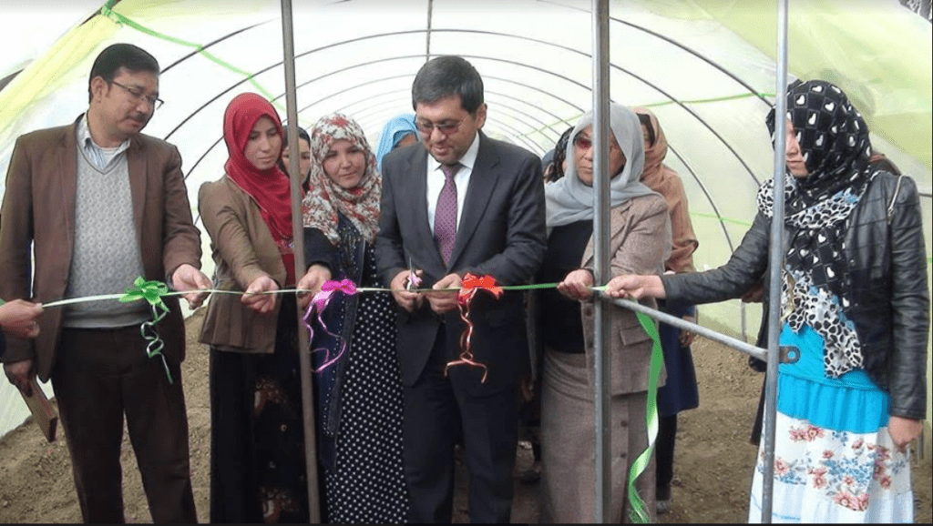 Bamyan women facilitated with 150 greenhouses