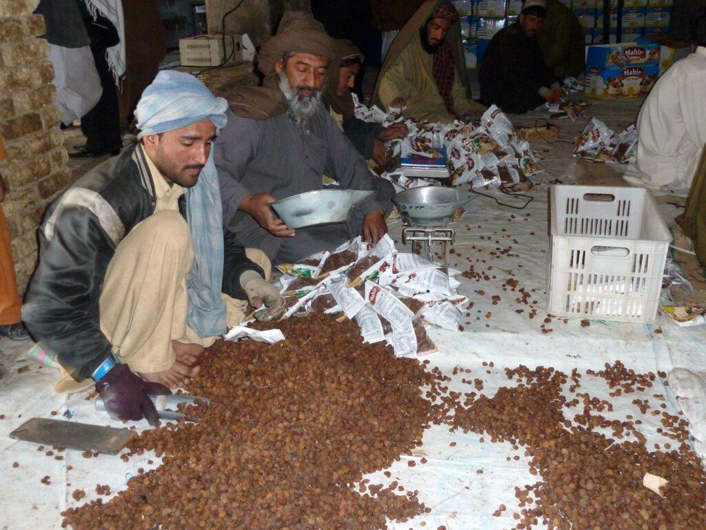 از کندهار به ارزش٥١ ميليون دالر ميوۀ خشک به خارج صادر شده است