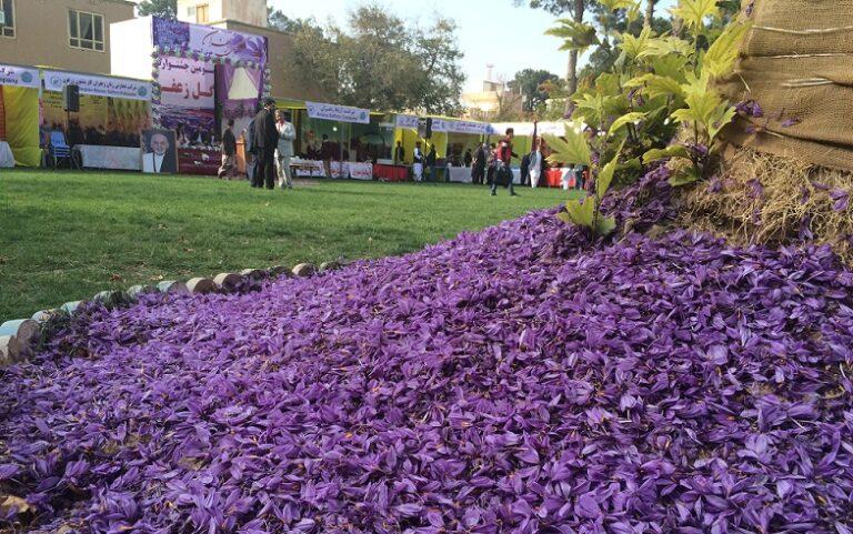 زعفران افغانستان مقام “سه ستاره طلایی” يک نهاد بين المللى را کسب کرد
