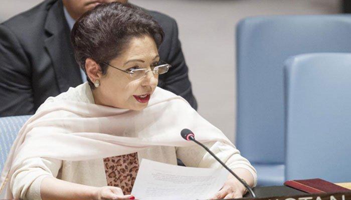 Taliban to initiate talks with Kabul, hopes Lodhi