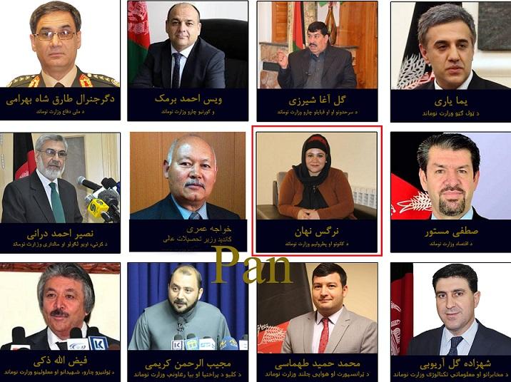11 cabinet picks win confidence vote from Wolesi Jirga