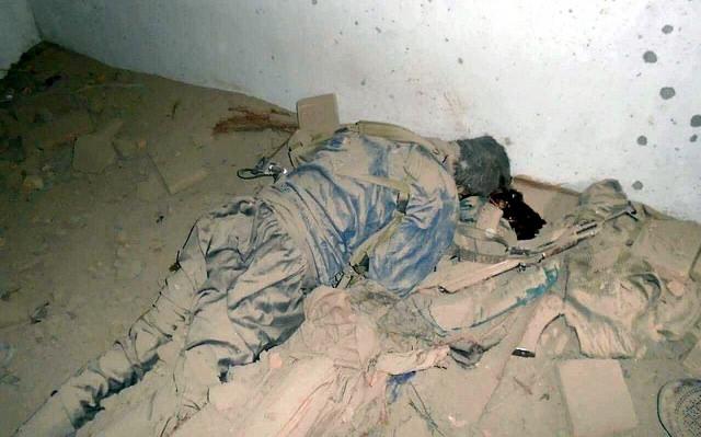 Killed Alqaeda members, Nangarhar