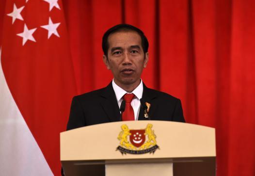 Indonesian President Widodo to arrive in Kabul tomorrow