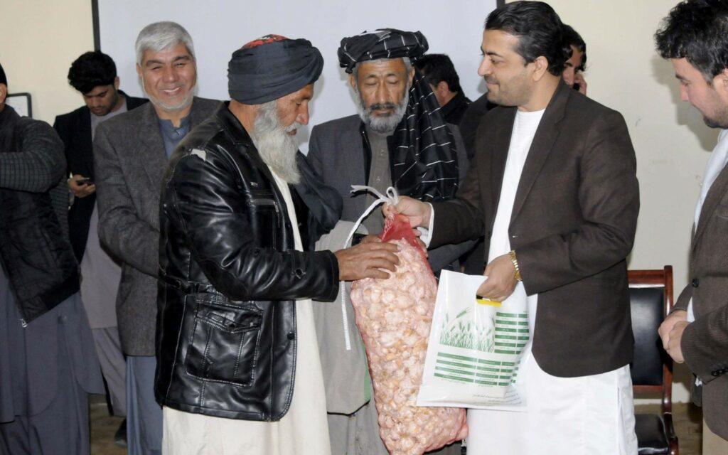 د کندهار په دوو ولسوالیو کې سبزیجات په نوې بڼه کرل کېږي