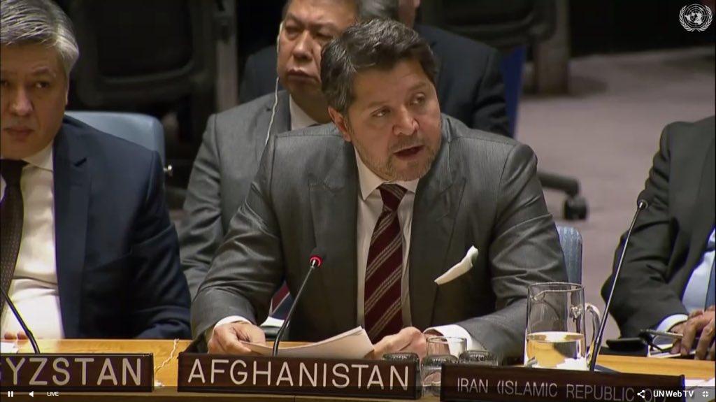 Hekmat Karzai, UNSC
