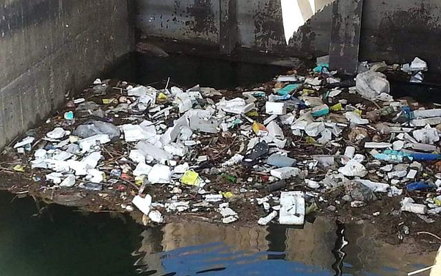 Garbage causing infections, Charikar