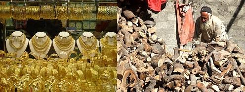 قيمت چوب سوخت و طلا در شهر کابل کاهش يافته است