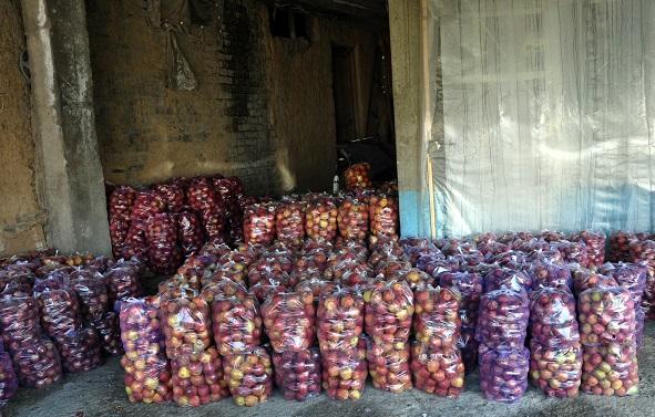 Import of Iranian fruits hampers local fruit market