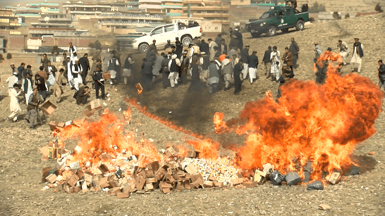 د خوست والي: د نشه يي توکو پر وړاندې مو مبارزه ګړندۍ کړې