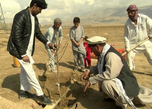 Spring trees plantation campaign kicks off in Baghlan