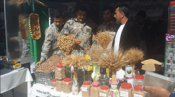 نمايشگاه محصولات زراعتى در ولايت جوزجان برگزار شد