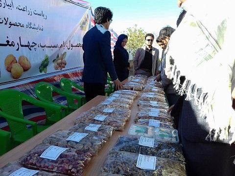 نمايشگاه محصولات زراعتی و صنايع دستی در دايکندى برگزار شد