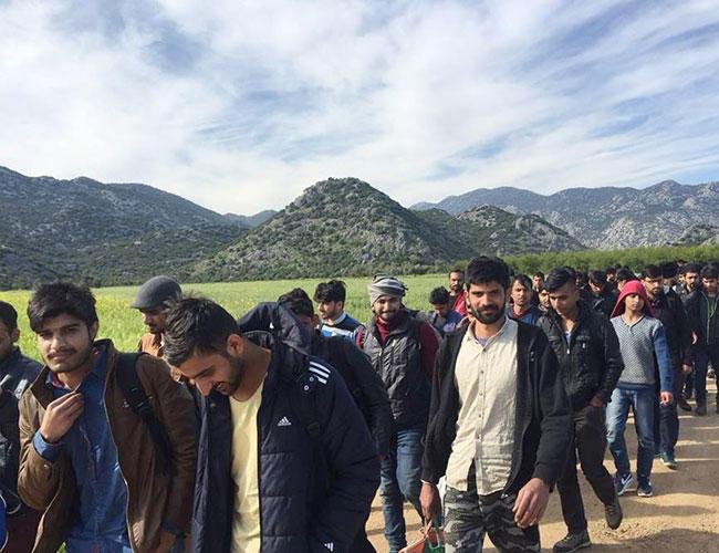 15 club-wielding Afghan migrants detained in Turkey