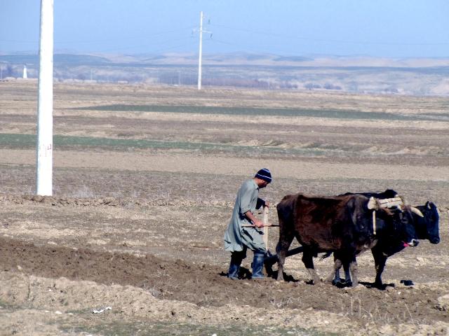 “طالبان، مانع کِشت سی هزار هکتار زمین ما شده اند”