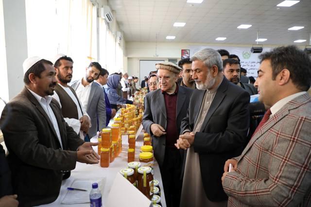 وزير زراعت: افغانستان سالانه ظرفيت توليد ١١ هزار تن عسل را دارد
