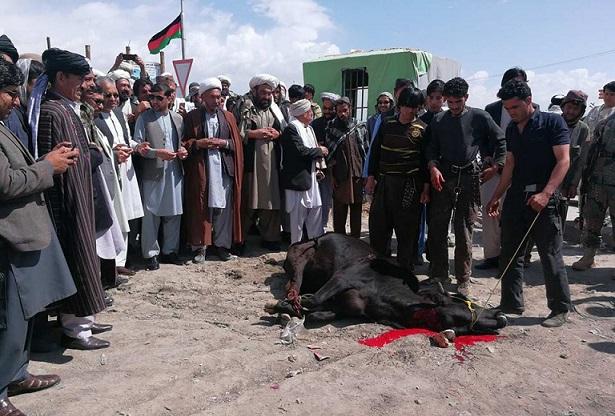 Ghaznis urge Taliban to enter peace deal with Kabul
