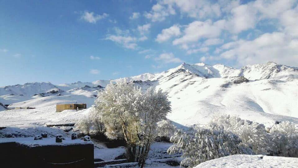 Snow kills animals, damages crops in Bamyan, Wardak