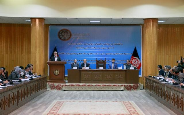 دانش: تمام ادارات مکلف اند در تدوين قوانين با نهادهاى مدنى مشوره کنند