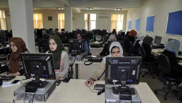 IEC’s information bank starts functioning