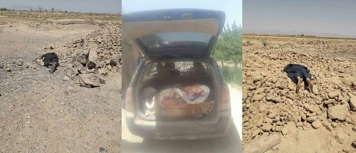 وسله والو طالبانو د ملي اردو دوه قرار داديان وژلي