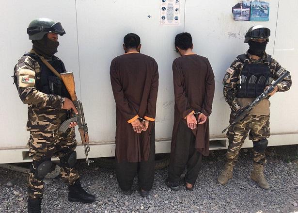 7 government officials, 3 terrorists held in Herat