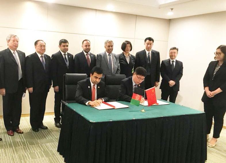 Pine nuts export protocol signed with China: MoF