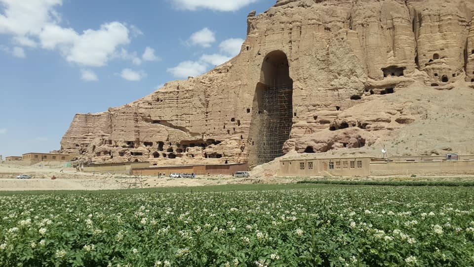 دومین «جشنواره گل کچالو» در باميان برگزار می گردد