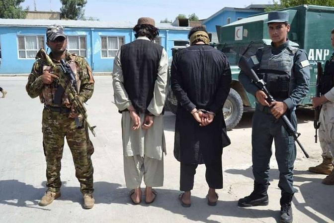 7 Taliban killed, 3 Daesh financiers held in Laghman, Nangarhar