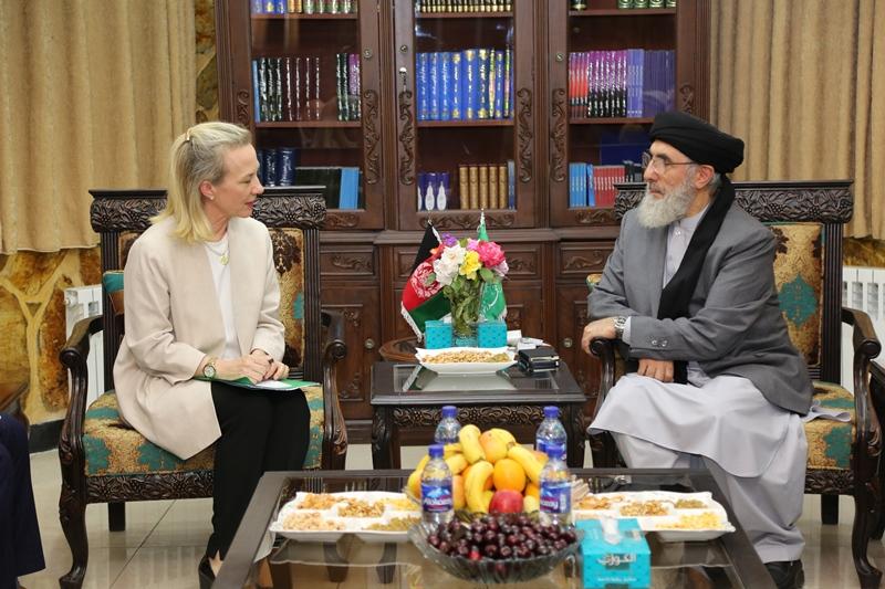 Hekmatyar, Wells discuss peace talks, elections