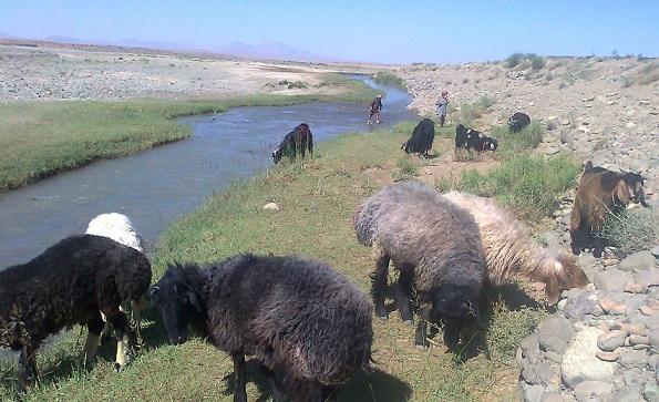 Drought-stricken Kandahar residents demand dams