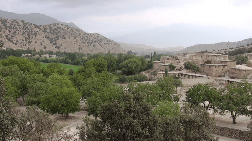 د څمکنيو اوسيدونکي: له امنيتی ځواکونو سره اوږه په اوږه خپلې سيمې ساتو