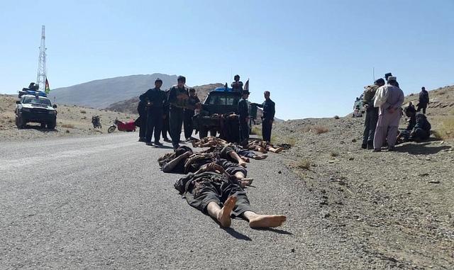 Bodies of the slain militants in Uruzgan