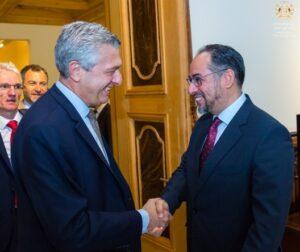 ‘Return to Afghanistan should be voluntary, respectful’