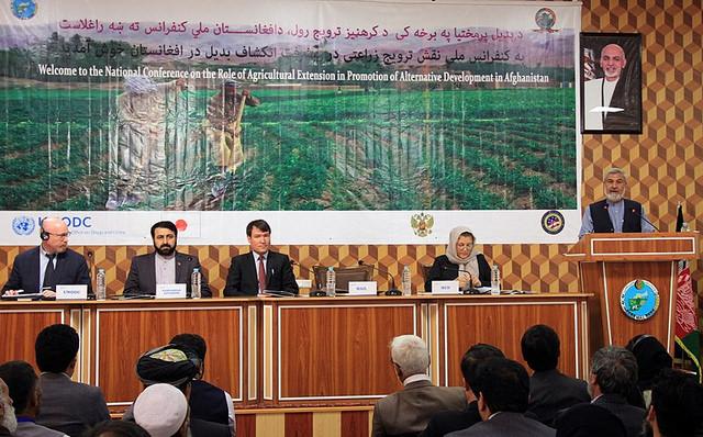 درانی: تا زمانی که به وضعیت اقتصادی دهقانان توجه نشود، کشت کوکنار از بین نمی رود